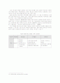 [사회복지]청소년복지정책 25페이지