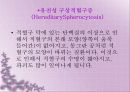 빈혈에 관한 자료  20페이지