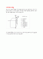 한국의 지자기 분포 8페이지