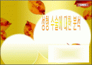 성형에 대한 조사분석 1페이지