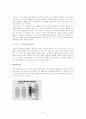 성적일탈의 개념과 문제점 10페이지