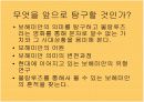 물랑루즈 보헤미안 ppt 3페이지