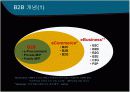 B2B  추진 전략과 선진 구축 사례  3페이지