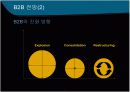 B2B  추진 전략과 선진 구축 사례  11페이지