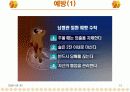 뇌혈관 질환의 정의와증상 치료 13페이지