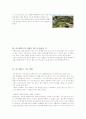 [관광개발론] 라스베가스의 관광산업 7페이지