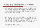 안락사와 환자의 권리 13페이지