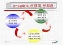 게임산업의 발전과 전망(스타크래프트) 5페이지