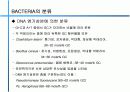 원핵생물과 바이러스 11페이지