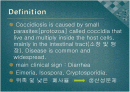Swine Coccidiosis (돼지 콕시듐증)에 관한 팀 프로젝트(특A++)// 수의학과 학생이 직접 제작 2페이지