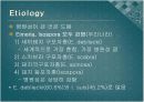 Swine Coccidiosis (돼지 콕시듐증)에 관한 팀 프로젝트(특A++)// 수의학과 학생이 직접 제작 5페이지