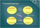 Swine Coccidiosis (돼지 콕시듐증)에 관한 팀 프로젝트(특A++)// 수의학과 학생이 직접 제작 11페이지