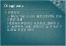 Swine Coccidiosis (돼지 콕시듐증)에 관한 팀 프로젝트(특A++)// 수의학과 학생이 직접 제작 19페이지