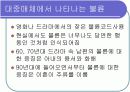 결혼과 독신, 행복의 기준  17페이지