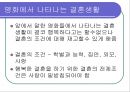 결혼과 독신, 행복의 기준  28페이지
