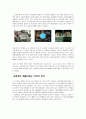 [경영과의사결정]닌텐도DS의 성공요인 분석 및 향후 발전방안 (A+리포트) 18페이지