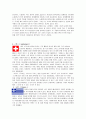 [SDU세계여행] 각 나라의 국기의 의미와 상징성 3페이지