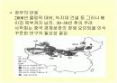 사막화의 원인과 그에 따른 영향 및 피해 사례와 대처방안 15페이지