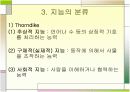 지능의 정의와 분류, 지능이란 무엇인가  5페이지
