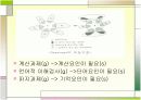 지능의 정의와 분류, 지능이란 무엇인가  13페이지