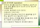 지능의 정의와 분류, 지능이란 무엇인가  27페이지