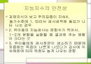 지능의 정의와 분류, 지능이란 무엇인가  38페이지