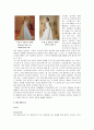 [의상디자인]국내 웨딩시장 현황 및 09년 웨딩트렌드 전망 (A+리포트) 5페이지