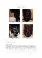 [의상디자인]국내 웨딩시장 현황 및 09년 웨딩트렌드 전망 (A+리포트) 10페이지