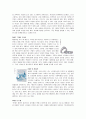 [의상디자인]국내 웨딩시장 현황 및 09년 웨딩트렌드 전망 (A+리포트) 13페이지