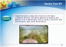 Doctor Fish를 통한 생산성 분석 3페이지
