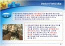 Doctor Fish를 통한 생산성 분석 5페이지