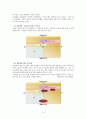 STP전략 (고급찜질방) 6페이지