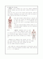 [사회과학] 무산소운동 방법과 생리적 반응[`A+레포트`] 7페이지