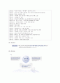 [마케팅원론] 하나로텔레콤 기업분석과 성공전략[`A+레포트`] 2페이지
