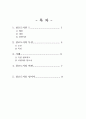 창조도시의 특성과 사례 비판 2페이지
