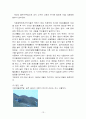 삼국시대의 무덤양식 13페이지