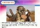 세계 각국 미의기준, 다양한 미의 기준, 특이한 미의기준, 다양한 문화 정리 발표 자료 입니다. 7페이지