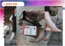 세계 각국 미의기준, 다양한 미의 기준, 특이한 미의기준, 다양한 문화 정리 발표 자료 입니다. 9페이지