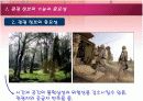 관광정보의 기능과 중요성 종류와 이용 관광정보시스템 7페이지