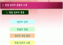 관광정보의 기능과 중요성 종류와 이용 관광정보시스템 13페이지