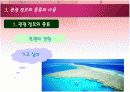 관광정보의 기능과 중요성 종류와 이용 관광정보시스템 15페이지