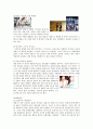 [마케팅] PPL 마케팅의 유래와 효과, 문제점, 분야별 특성 및 사례 11페이지