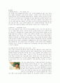 [마케팅] PPL 마케팅의 유래와 효과, 문제점, 분야별 특성 및 사례 13페이지