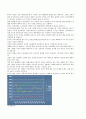 wiscom 2009년 1분기 분석 및 전망 (2009년 4분기 까지) 4페이지