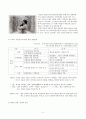한류(韓流)의 이해 2페이지