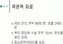 간호진단적용 19페이지