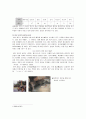 일본의 목욕문화 6페이지