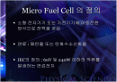 마이크로 연료전지 2페이지