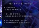 마이크로 연료전지 8페이지