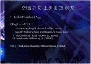 마이크로 연료전지 9페이지